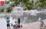 Đàn thiên nga ở hồ Thiền Quang vẫn có nguy cơ bị thương do lưỡi câu